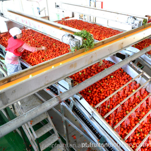 Máquina de fabricação de conservas de molho de tomate comercial